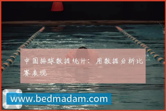 中国排球数据统计:用数据分析比赛表现