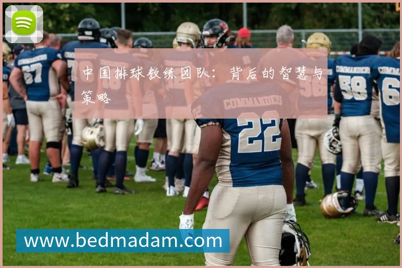中国排球教练团队：背后的智慧与策略